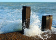 Sea Spray