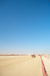 Robot camel racing