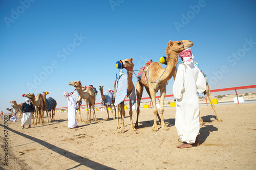 Photo: Robot camel racing Robot camel racing