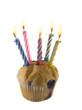 isolated cupcake and candles isolated cupcake and candles