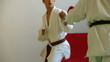 Karate fight