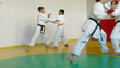Martial arts instructor training  students