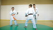 Martial arts sparring