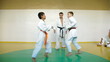 Martial arts instructor training  students
