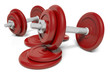 Red barbell