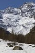 Snowy landscape