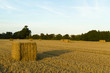 Straw Bales