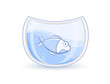 Blue Fish In Glass Aquarium Blue Fish In Glass Aquarium