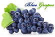 Grapes isolated on white background