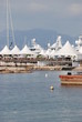 festival de cannes