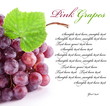 Red grape isolated on a white