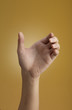 Female hand  isolated on brown background