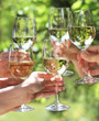People holding glasses of white wine making a toast People holding glasses of white wine making a toast