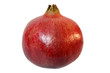 Photo: pomegranate pomegranate