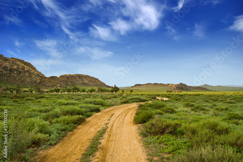 Photo: Chemin en Mongolie Chemin en Mongolie