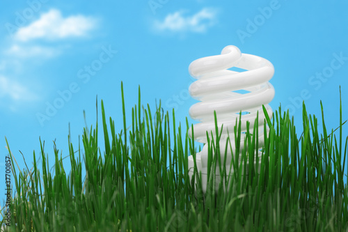 Photo: Energy saving compact fluorescent lightbulb Energy saving compact fluorescent lightbulb