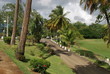 paysage de martinique