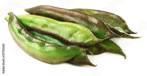 Photo: Fresh Indian bean Fresh Indian bean