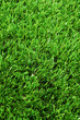 Photo: grass grass