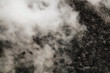 Coal