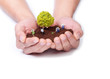 Foto: Hands protect little farmers Hands protect little farmers