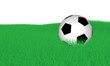 Fußball Wiese