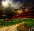 Foto: Country road Country road