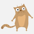 cartoon cat cartoon cat