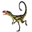 Photo en ligne au meilleur prix Dilong Dinosaur01
