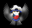 Czech Republic Soccer Ball - easily to isolate on black
