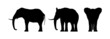 Elephant Silhouette