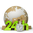 World delivery in 24 Hrs green