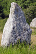 Standing stones at Carnac in France Standing stones at Carnac in France