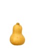 butternut