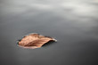 Herbst
