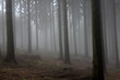 Photo en ligne au meilleur prix Nebel