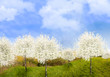 Verger en fleurs