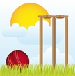 cricket ball