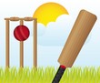 cricket set