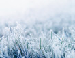 Winter background, morning frost on the grass with copy space