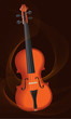 passione violino