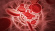 Red blood cells in artery