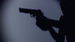 silhouette of an armed person sneaking through a room