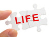 Life Balance