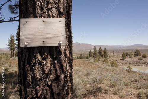 Photo: Old grungy wood sign on a pine tree Old grungy wood sign on a pine tree