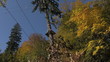 park adventure sport in the forest