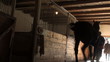 horse riding