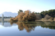 pantano del Cubillas 8 pantano del Cubillas 8