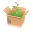 ベクター、段ボール箱に入った植物