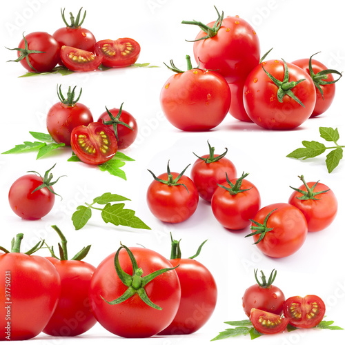 Photo: Tomatos collection Tomatos collection